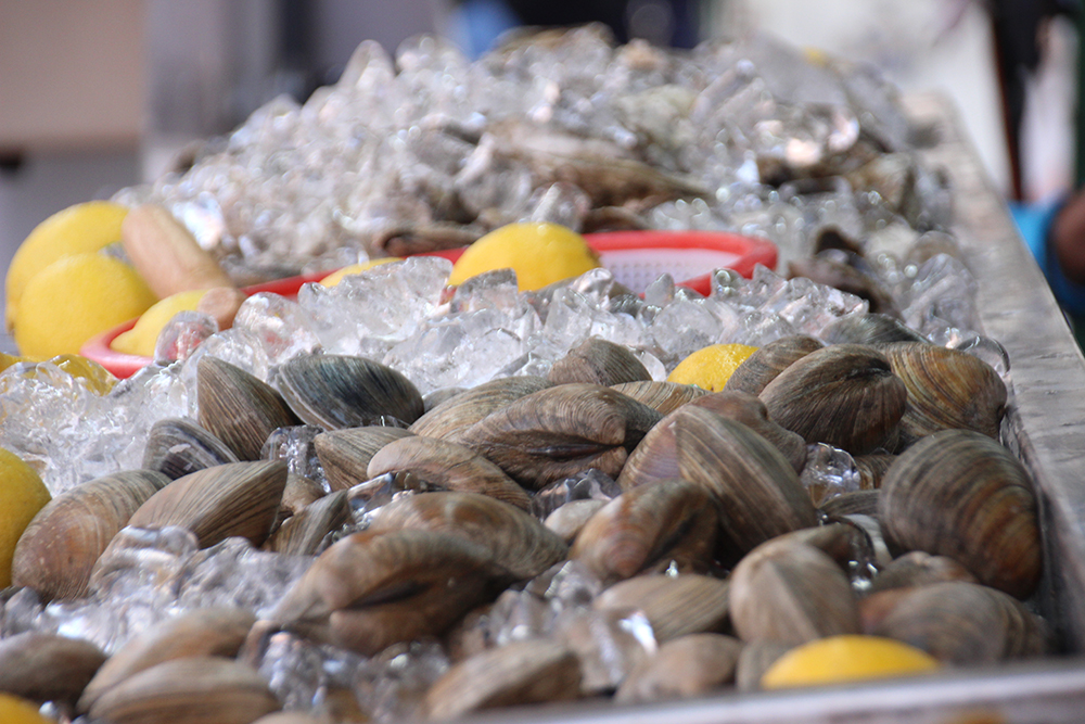 Clams and oysters at the festival of san gennaro